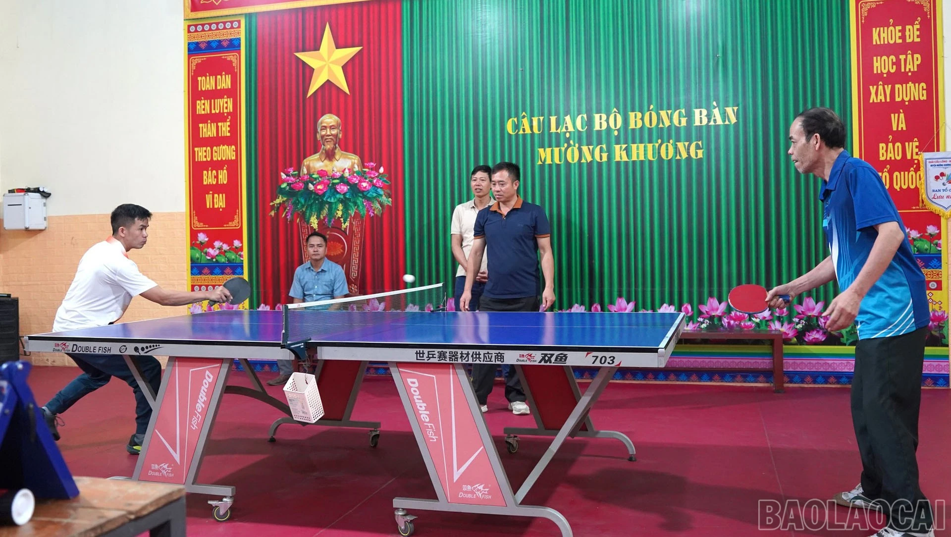 baolaocai-br_mk1-12.jpg