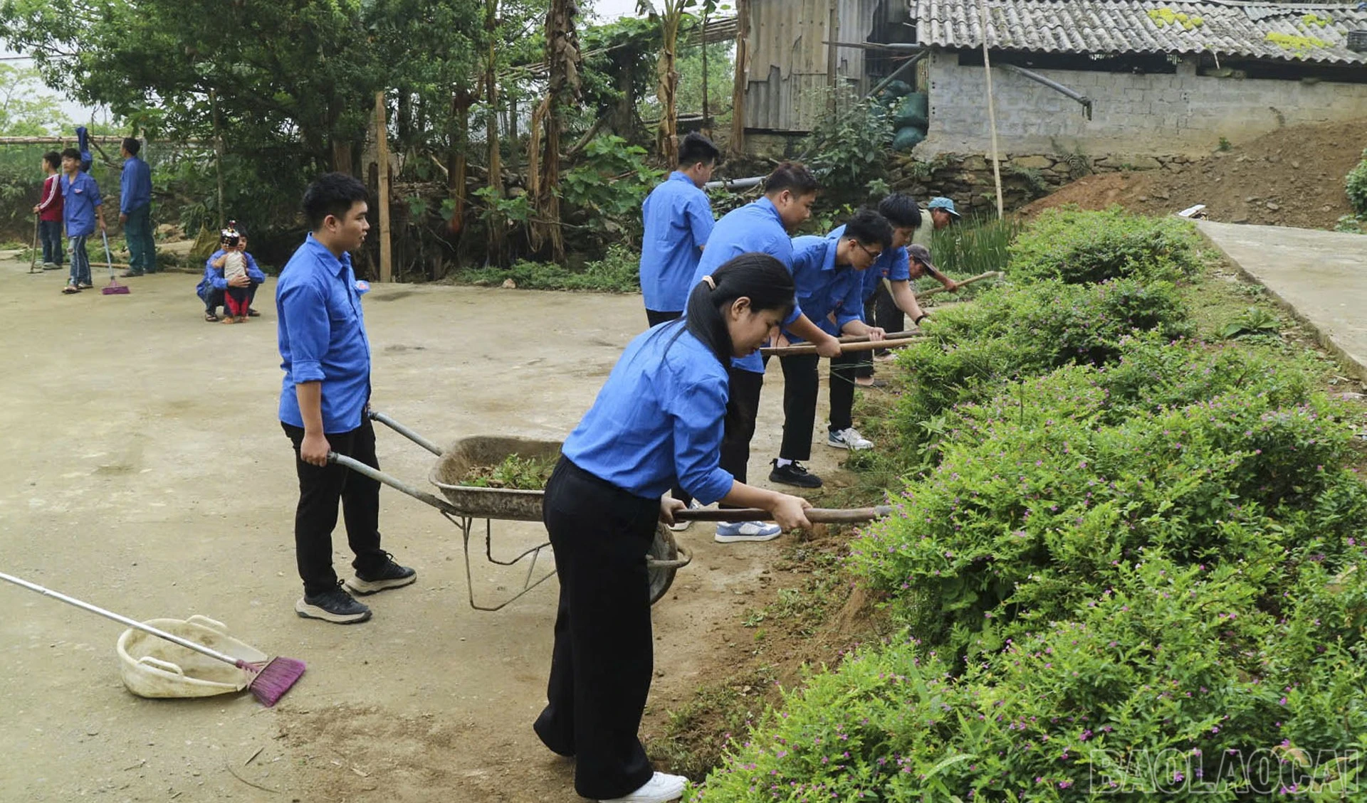 baolaocai-br_anh4.jpg