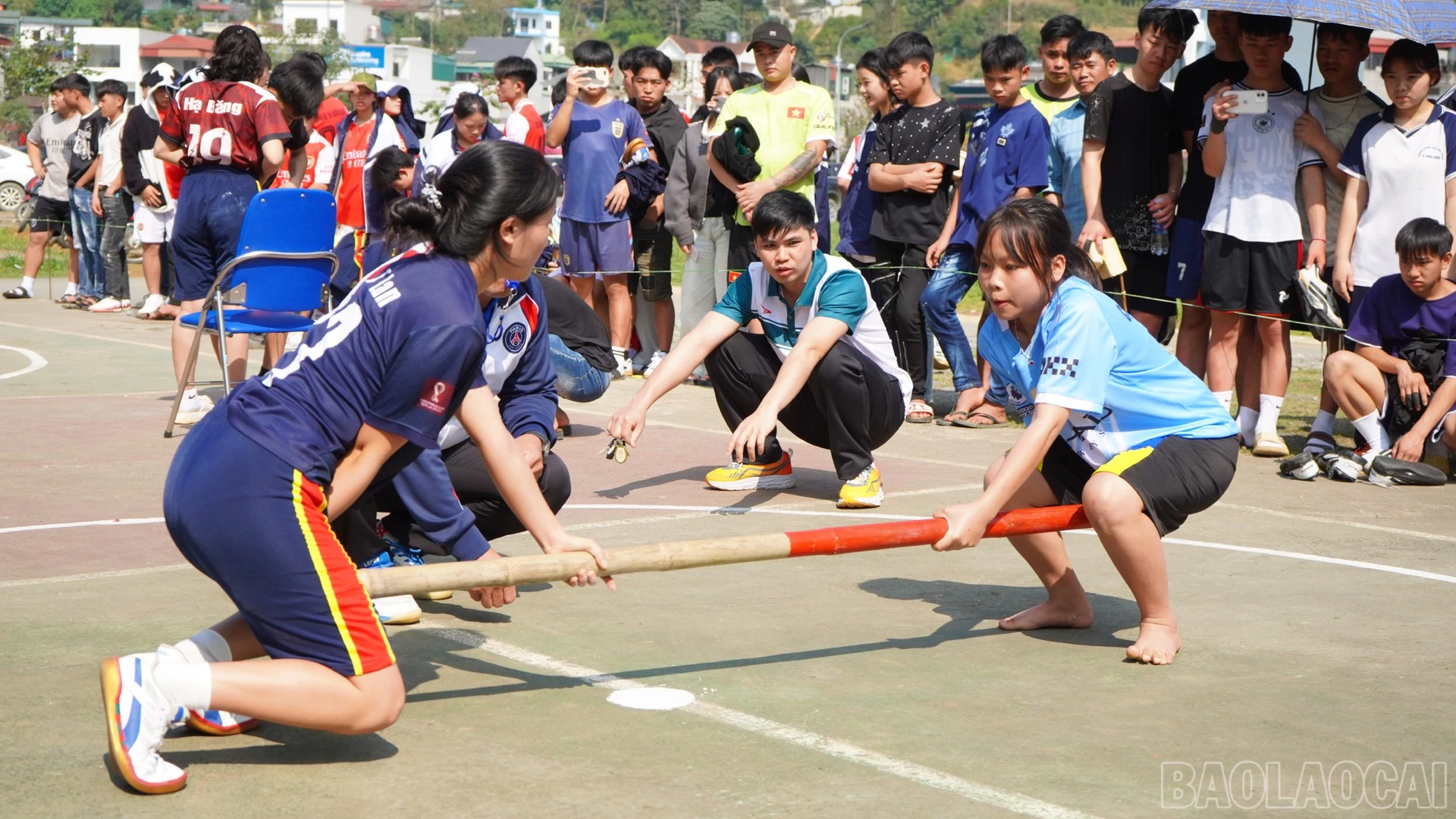 baolaocai-br_mk1-4.jpg