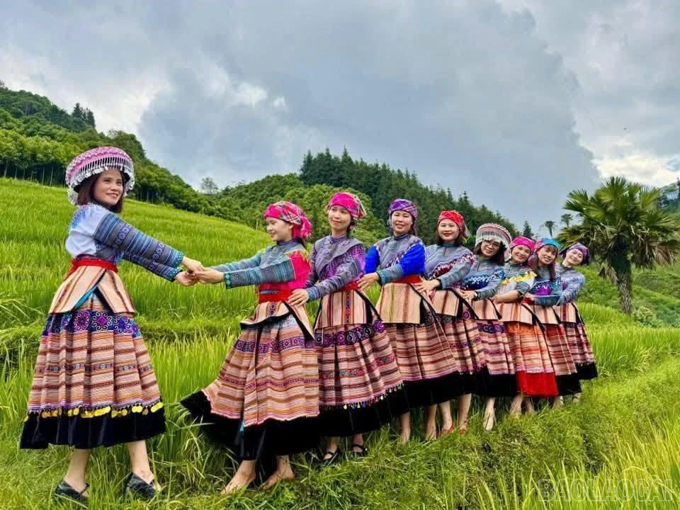 baolaocai-br_1789807687475-178087565401151014-178087565401151014-f30c851cc988f9345cfb92b10a33b128.jpg