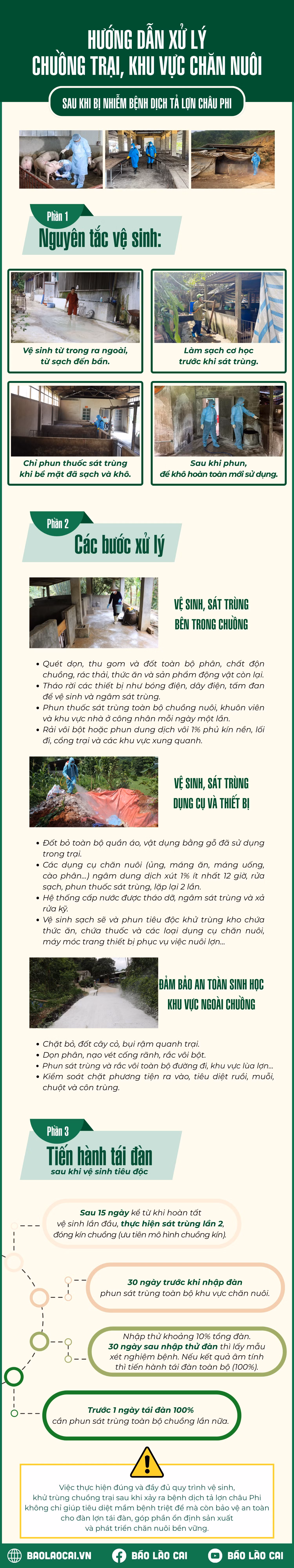 infographic-huong-dan-xu-ly-chuong-trai-khu-vuc-chan-nuoi-sau-khi-bi-nhiem-benh-dich-ta-lon-chau-phi-1.png