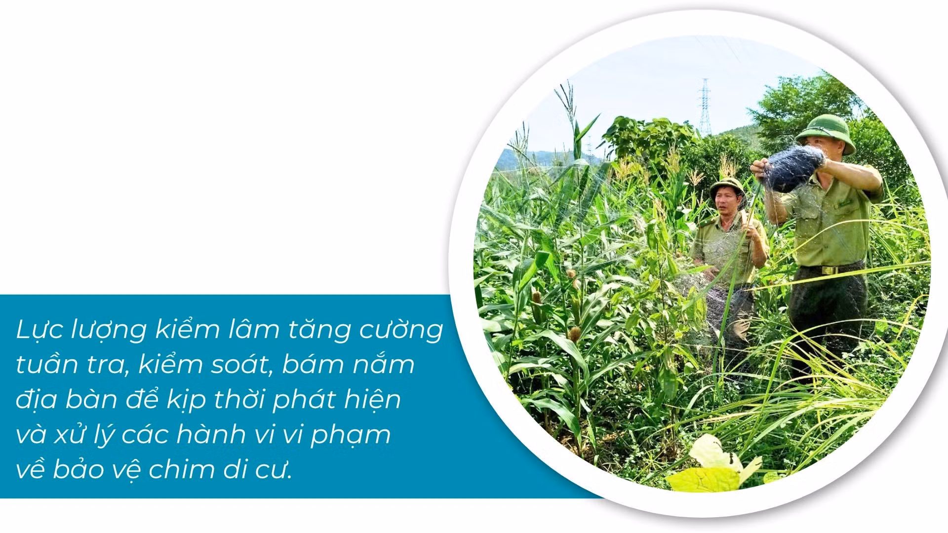 bao-ton-giong-thuy-san-quy-hiem.jpg