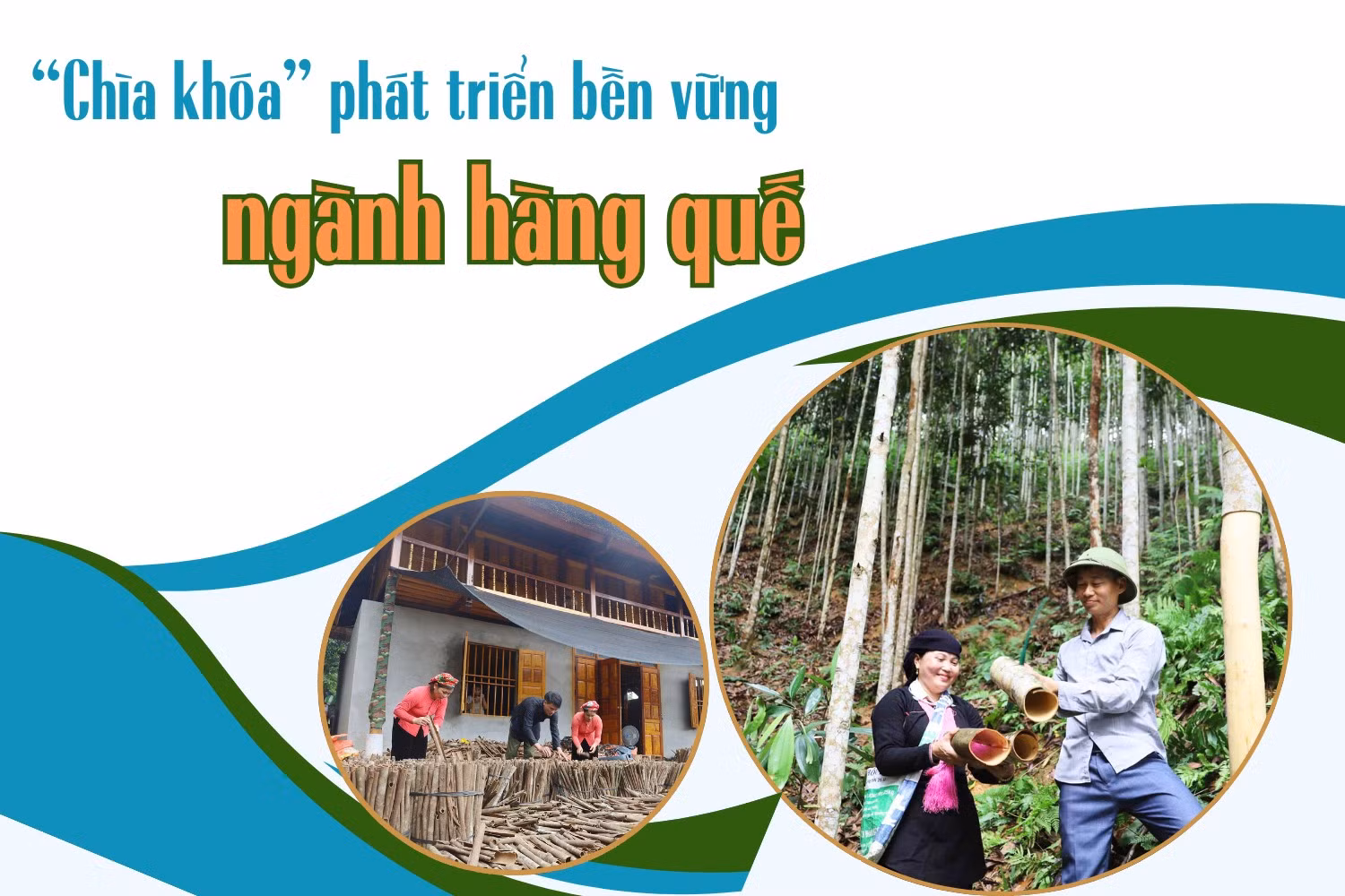 “Chìa khóa” phát triển bền vững ngành hàng quế