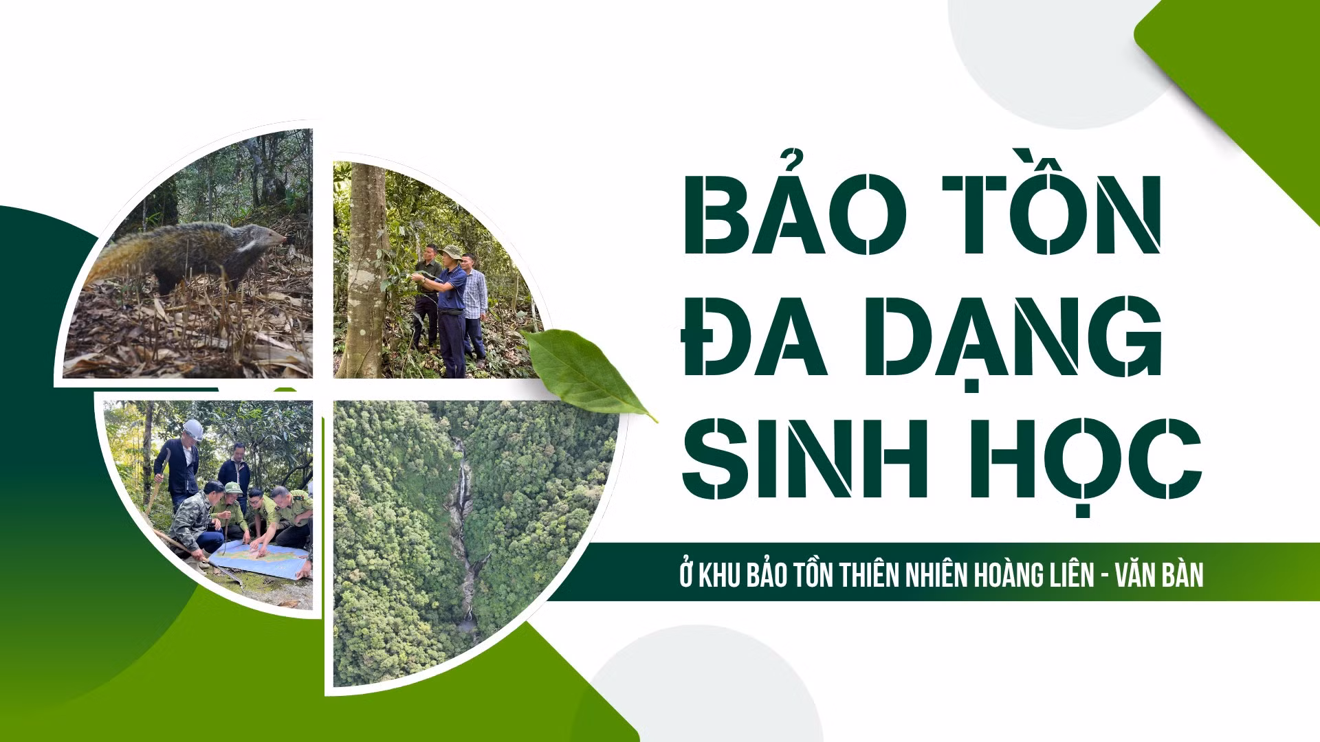 Bảo tồn đa dạng sinh học ở Khu Bảo tồn thiên nhiên Hoàng Liên - Văn Bàn