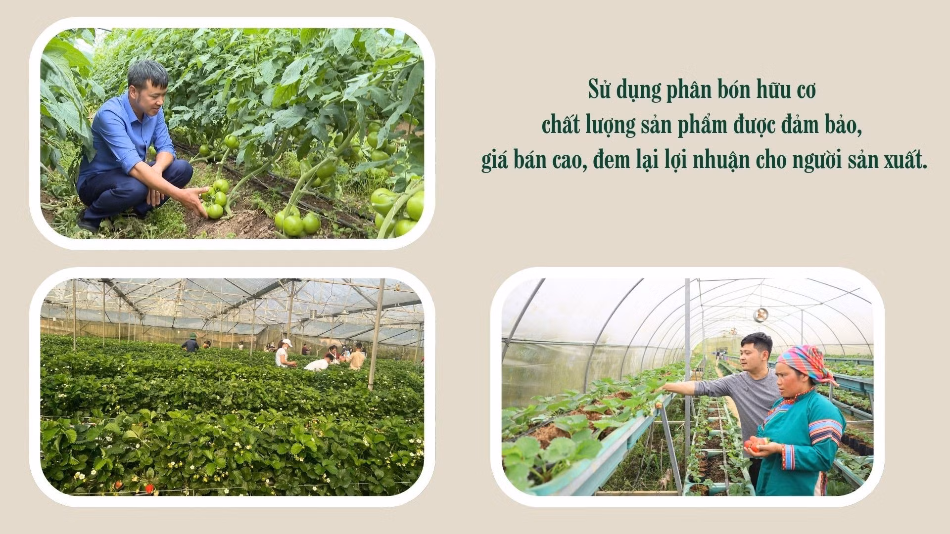 pa-cheo-no-luc-giam-ngheo-bang-3-cay-2-con.jpg