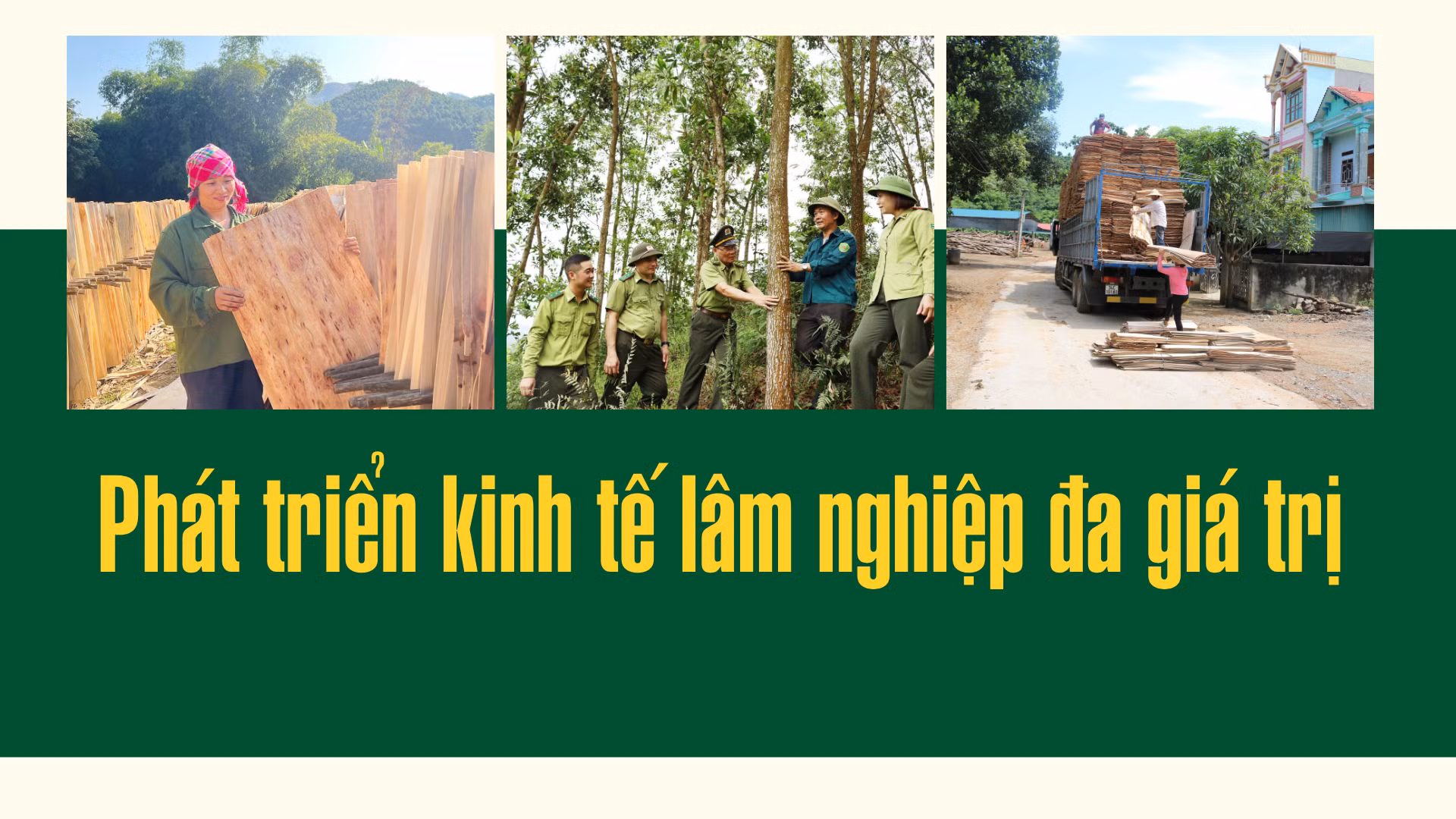 Phát triển kinh tế lâm nghiệp đa giá trị