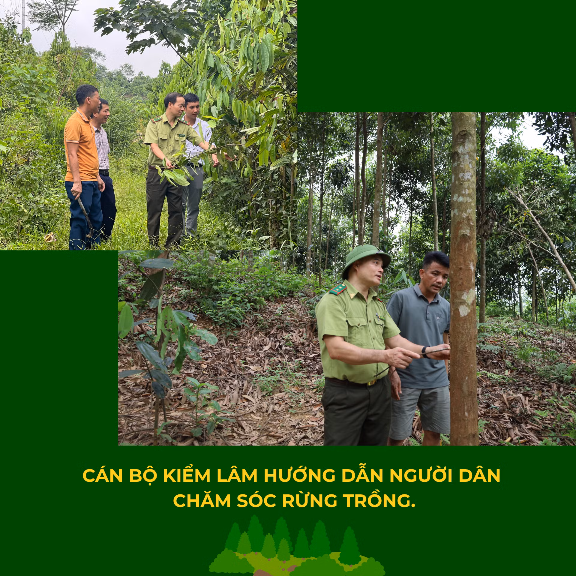 tam-ho-chieu-dua-go-lao-cai-ra-the-gioi.png