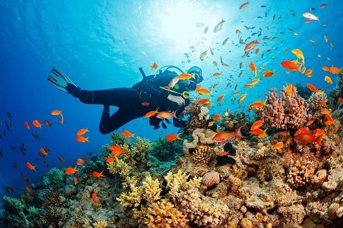 Phuket là thiên đường lặn biển ở Thái Lan. (Ảnh: vi.hotels.com)