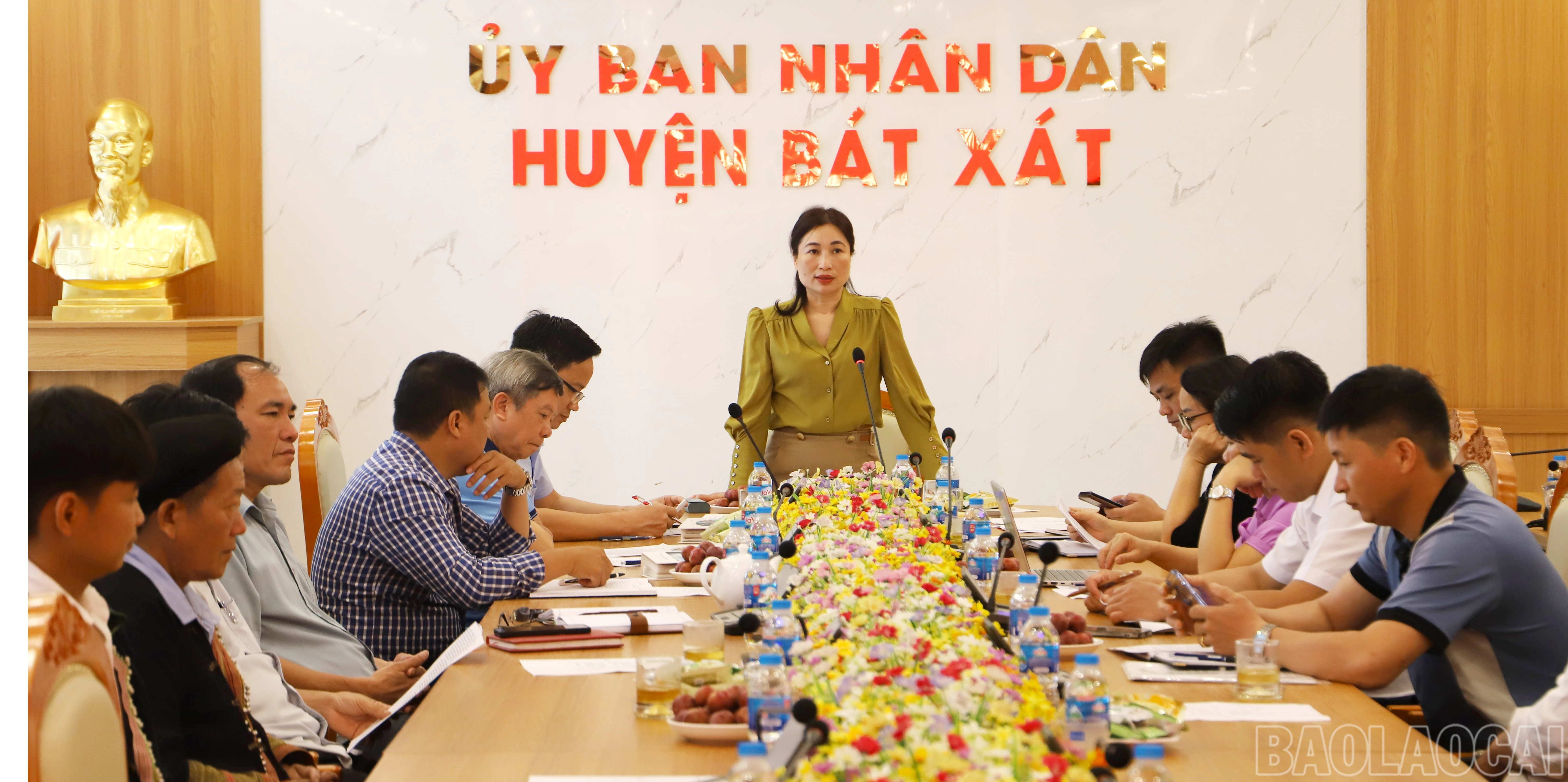 baolaocai-br_bx1-copy.jpg