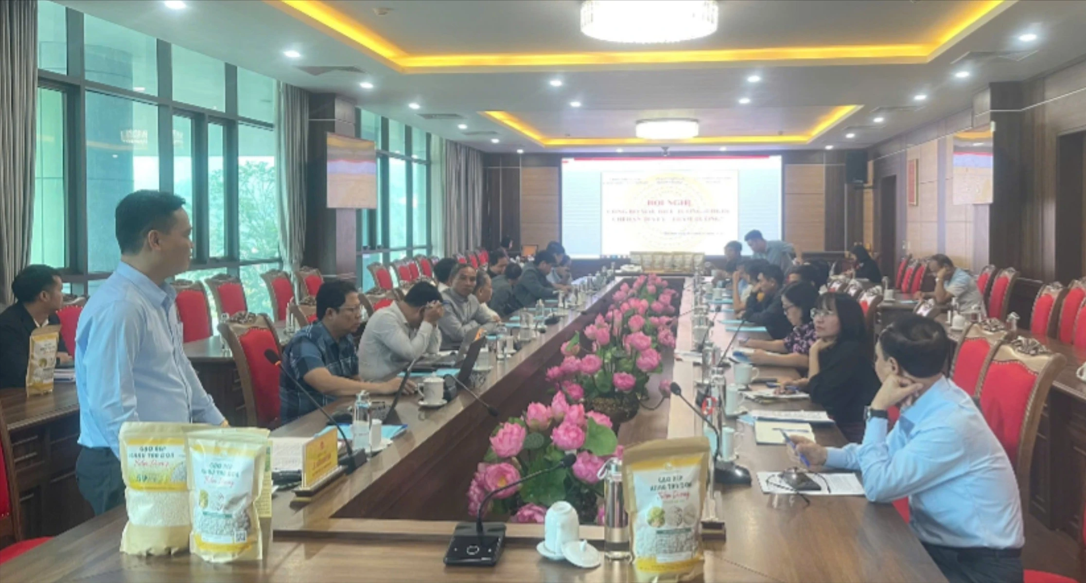 ton-canh-6469.jpg