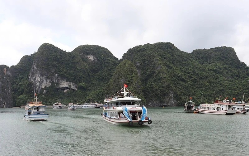 anh-dl-2-4146-725.jpg