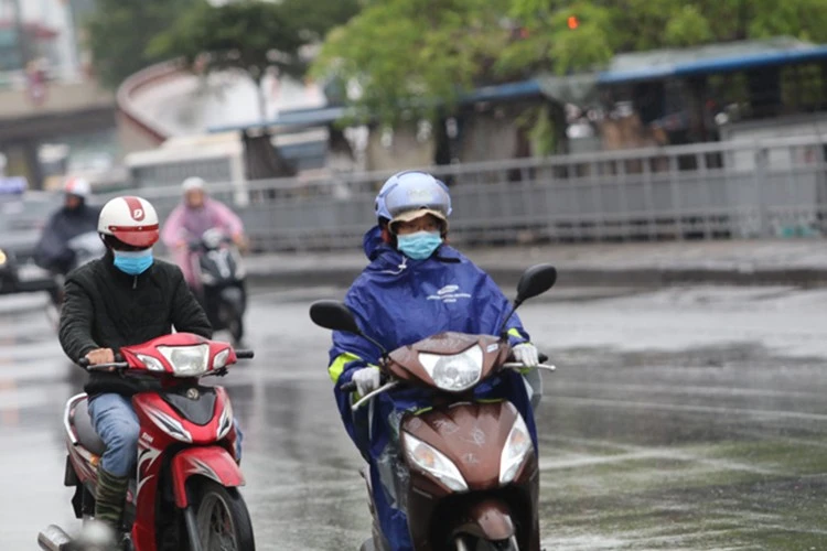 Bắc Bộ có mưa, trời rét.