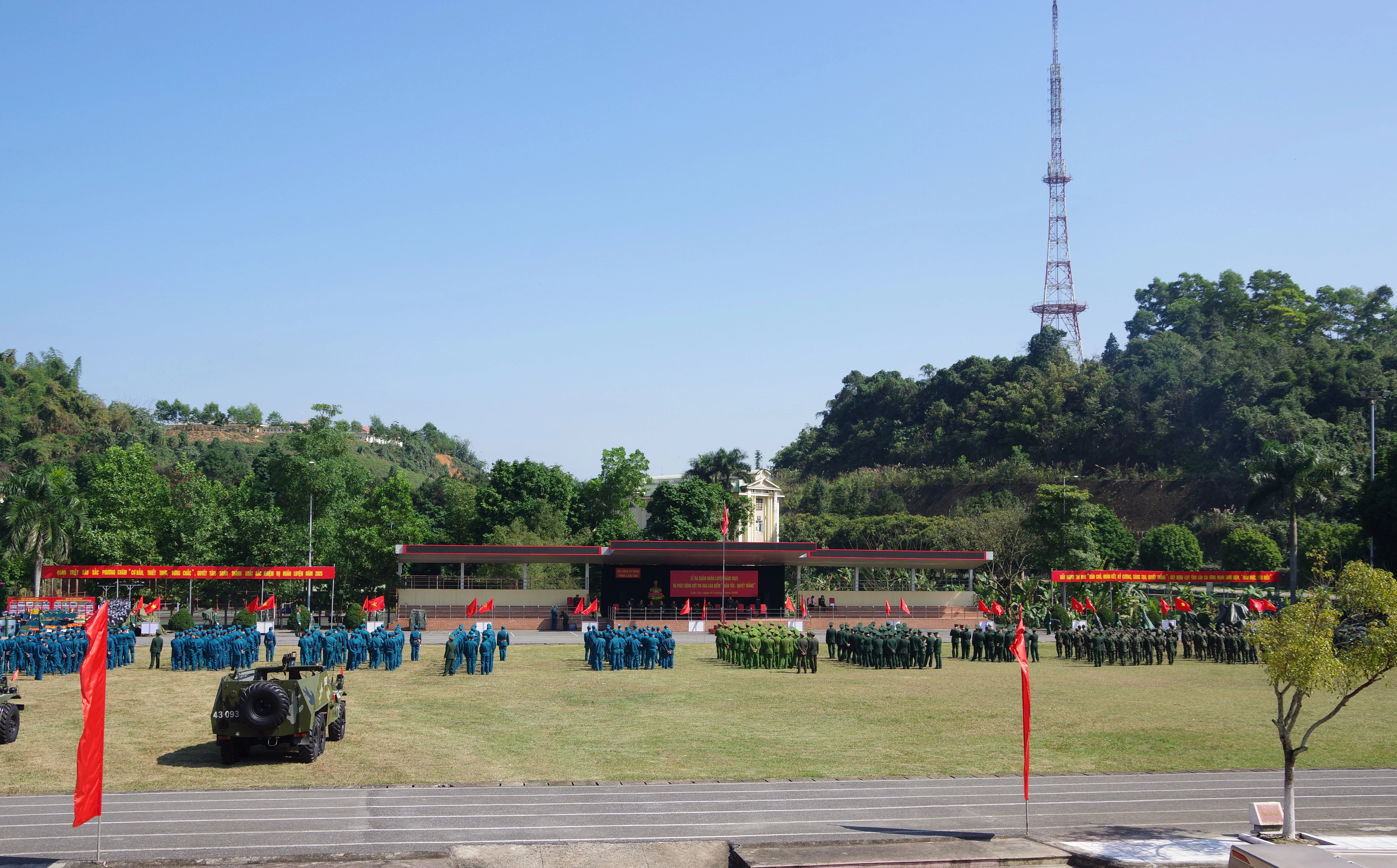 td-2.jpg
