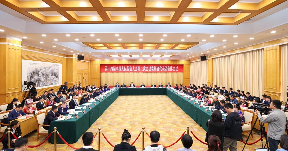 250306-quy-chau-1-4117-6260.jpg