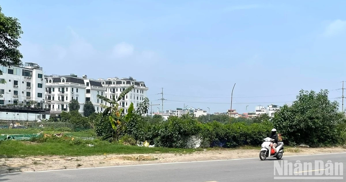 ndo-br-nangnong-7321-8804.jpg