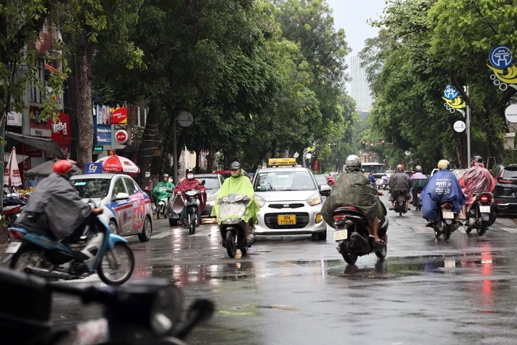 Bắc Bộ và Bắc Trung Bộ có mưa rào và dông, có nơi mưa to.
