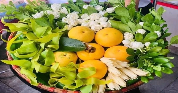 Met-hoa-qua-cung-ram-dat-nhu-tom-tuoi-co-gi-ma-gia-len-toi-hang-trieu-dong-met-2-1598942254-880-width700height525.jpg