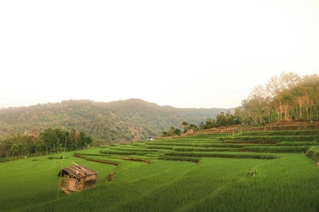 Kalegowa, Indonesia. (Ảnh:Unsplash/Muh Fikry Rezky)