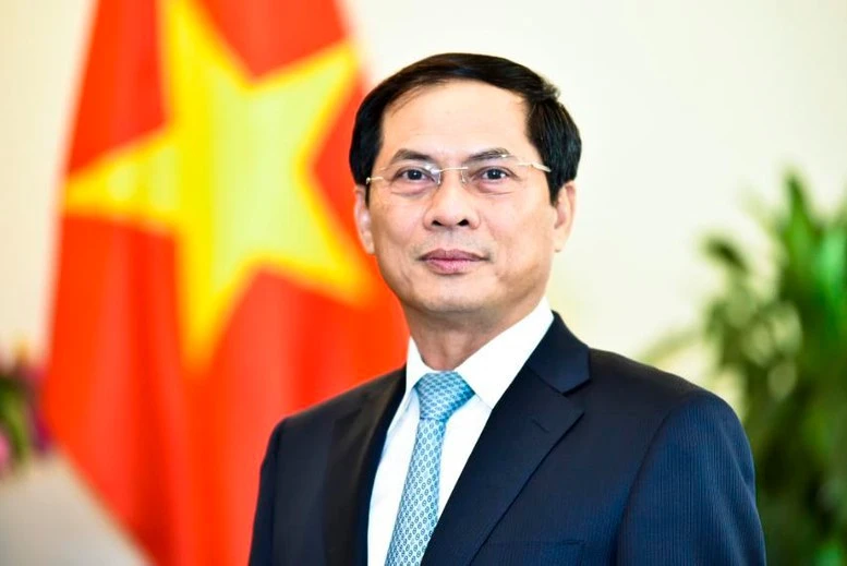 Phó Thủ tướng Chính phủ Bùi Thanh Sơn, ủy viên Ban Thường vụ Đảng ủy Chính phủ.