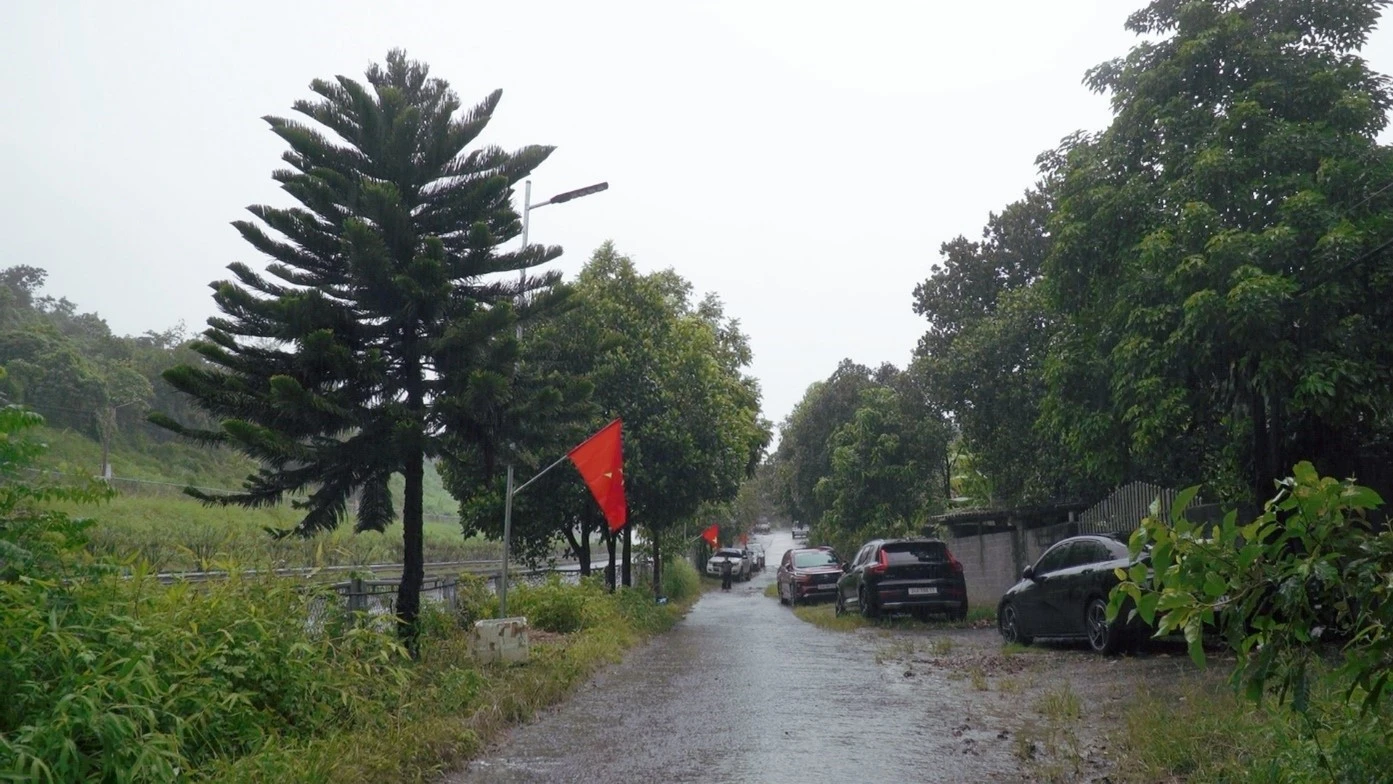thành phố 2.jpg