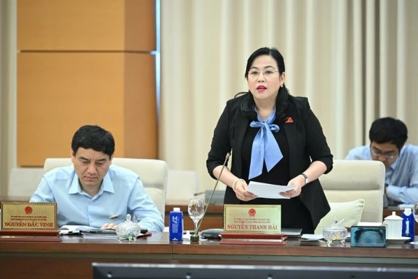 Chủ nhiệm Uỷ ban Công tác đại biểu Nguyễn Thanh Hải.