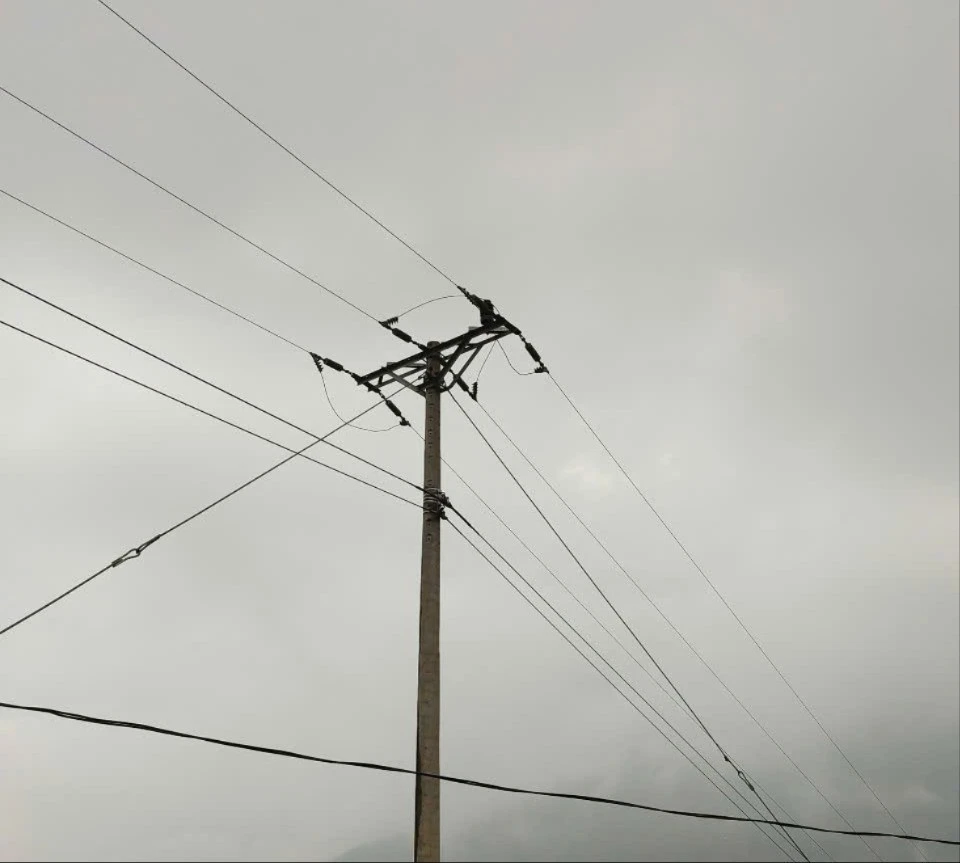 z6578532572088-0da5d4da1a3cc9b8eedc659f8012673c.jpg