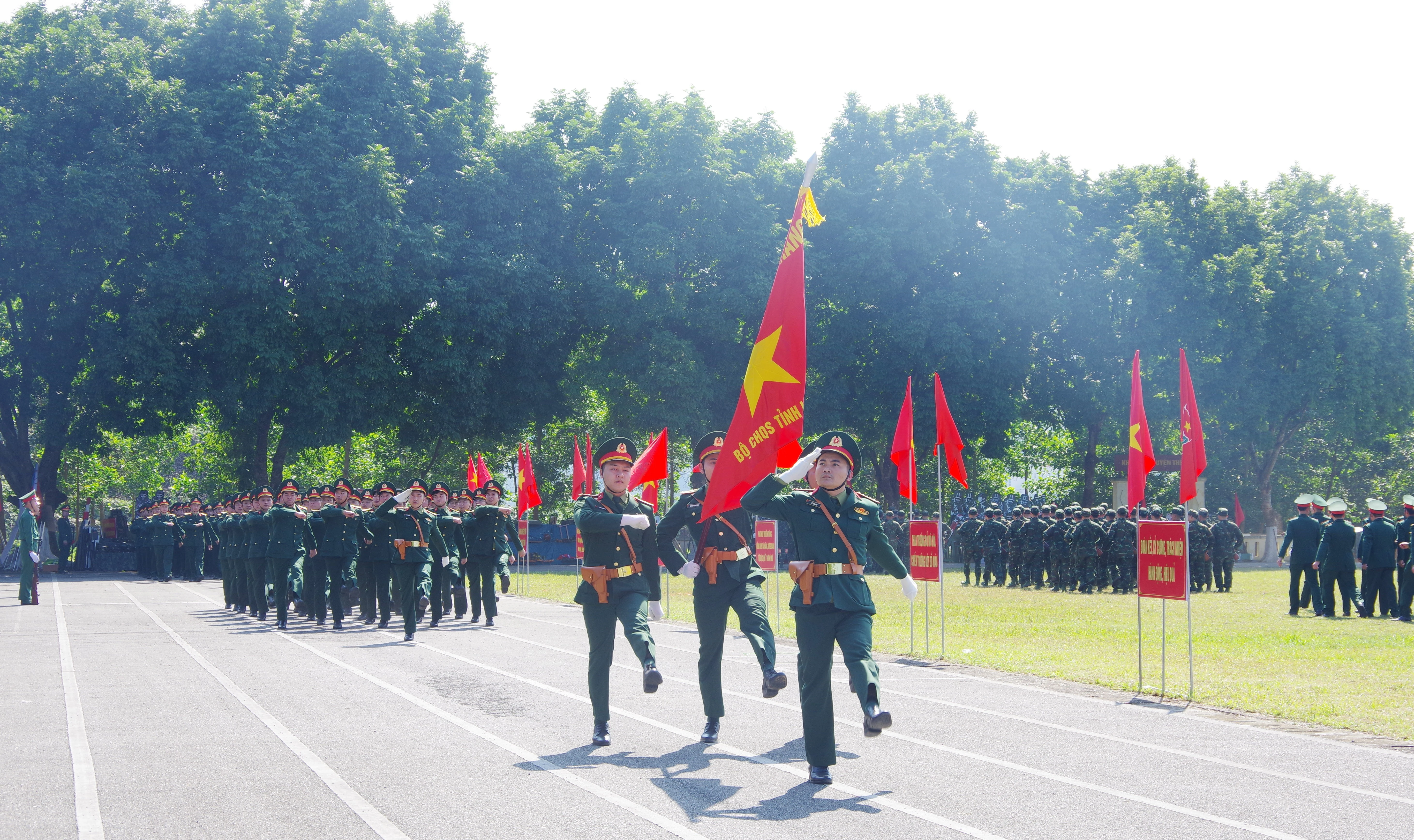 td-3.jpg