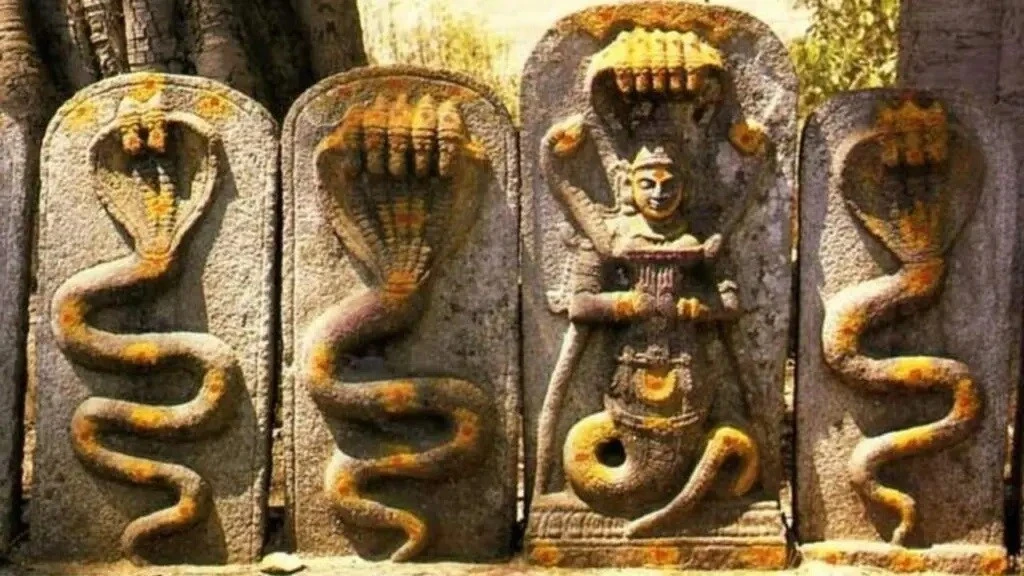 Trong Ấn Độ giáo, Naga được coi là những sinh vật bán thần thánh, có khả năng biến thành cả người và rắn. Ảnh: The Indosphere