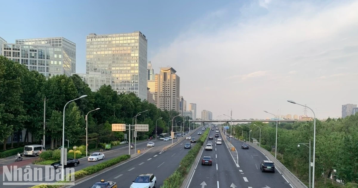 ndo-bl-20220531-oto-5764-6316.jpg