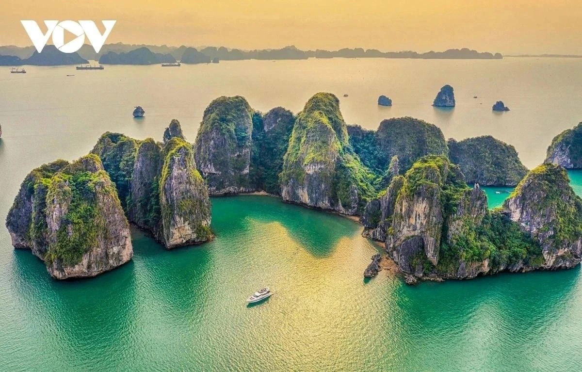 Nghệ thuật vì Khí hậu - Hạ Long 2025: Lan tỏa thông điệp bảo vệ môi trường ảnh 4