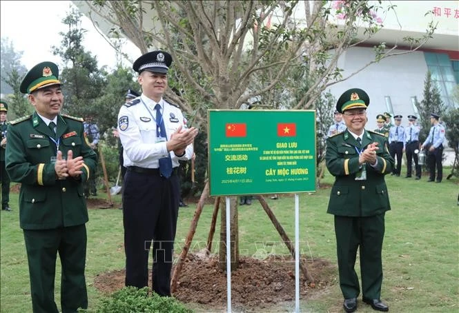 Đại biểu Sĩ quan trẻ Bộ đội Biên phòng tỉnh Lạng Sơn (Việt Nam) và Cán bộ trẻ Tổng trạm kiểm tra Biên phòng xuất nhập cảnh Quảng Tây (Trung Quốc) cùng trồng cây lưu niệm tại cửa khẩu quốc tế Hữu Nghị, ngày 11/4/2025. Ảnh: Quang Duy/TTXVN