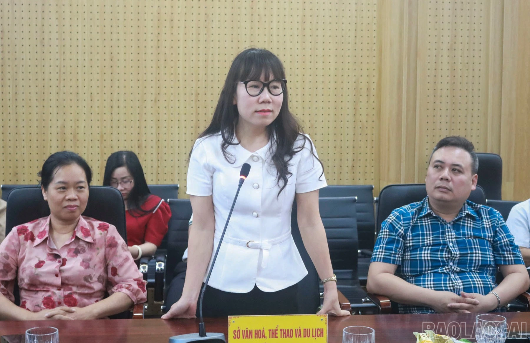 baolaocai-br_lanh-dao-so-van-hoa-the-thao-va-du-lich-tinh-phat-bieu-y-kien.jpg