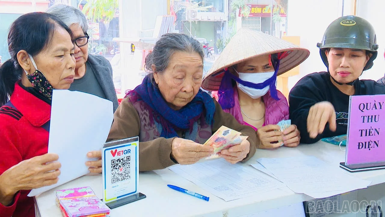 baolaocai-br_z7384218204623-d723594bb811189b49ce39faf09efe6f.jpg