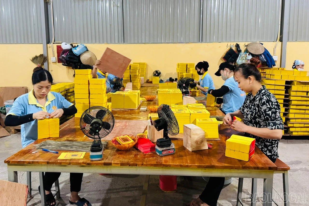 baolaocai-br_z7355682037663-75f6da0749e74ed8fd31cadf1da15a70.jpg