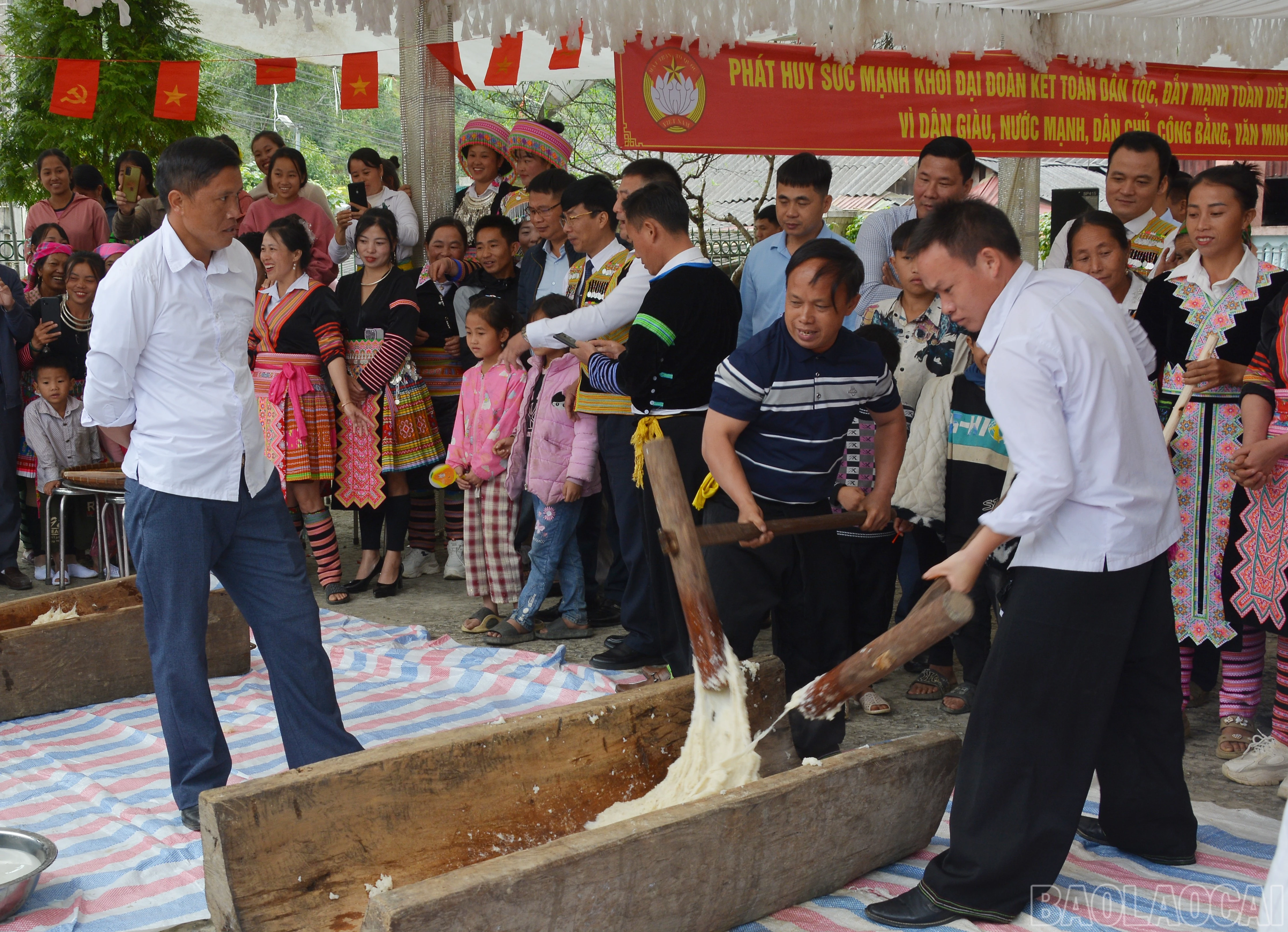 baolaocai-br_dsc-0054.jpg
