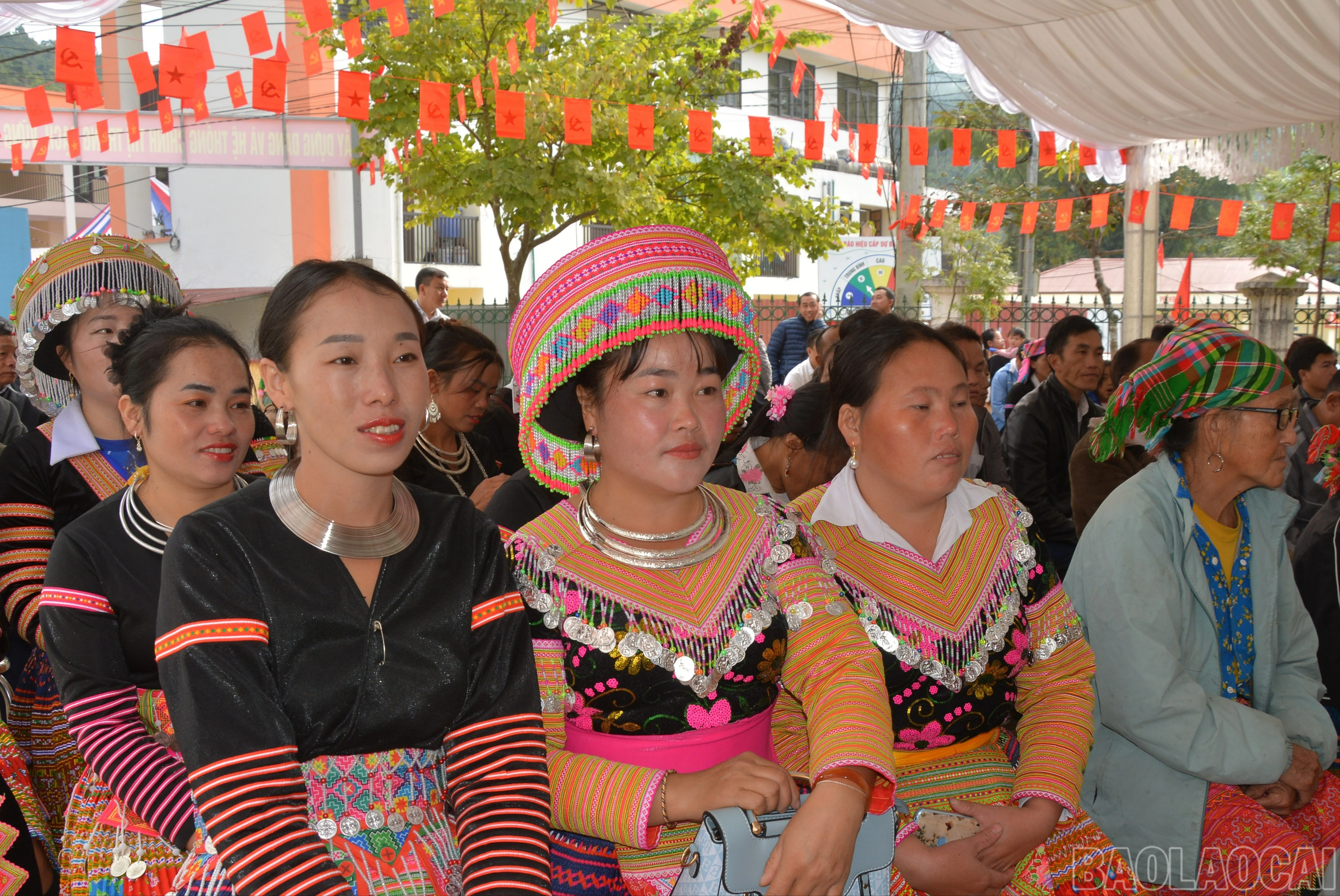 baolaocai-br_dsc-0033-598.jpg