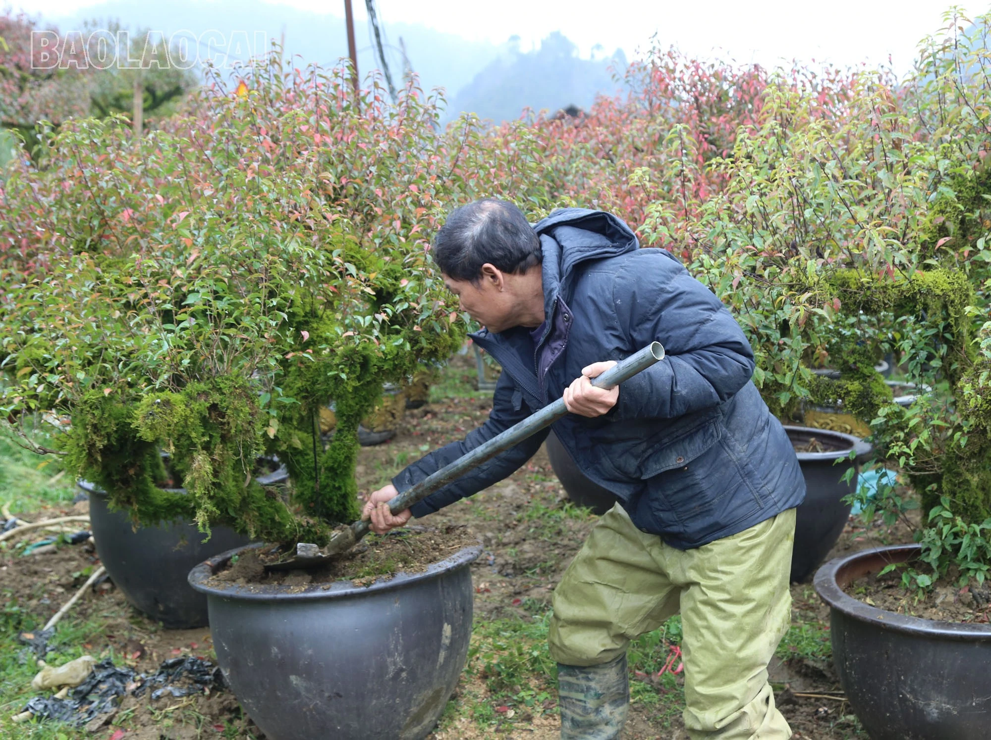 a1-6.jpg