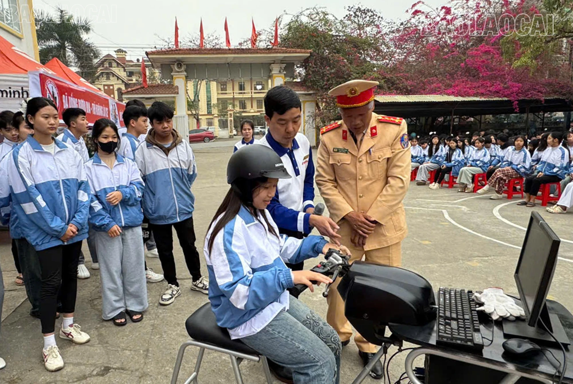 baolaocai-tl_a1-3.jpg