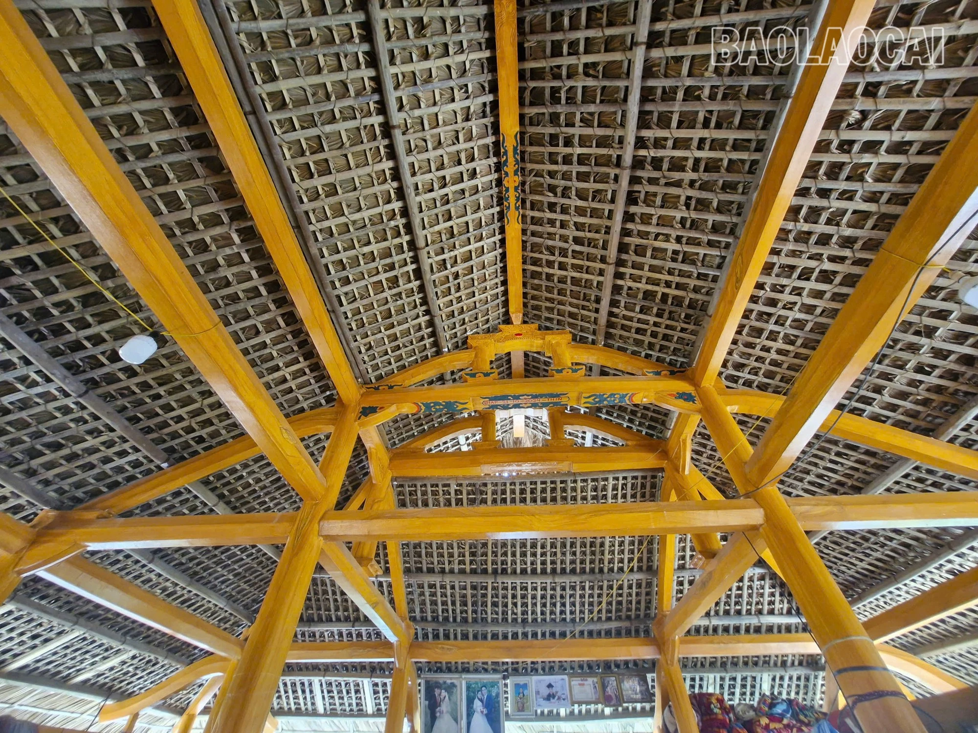 ns1-5.jpg