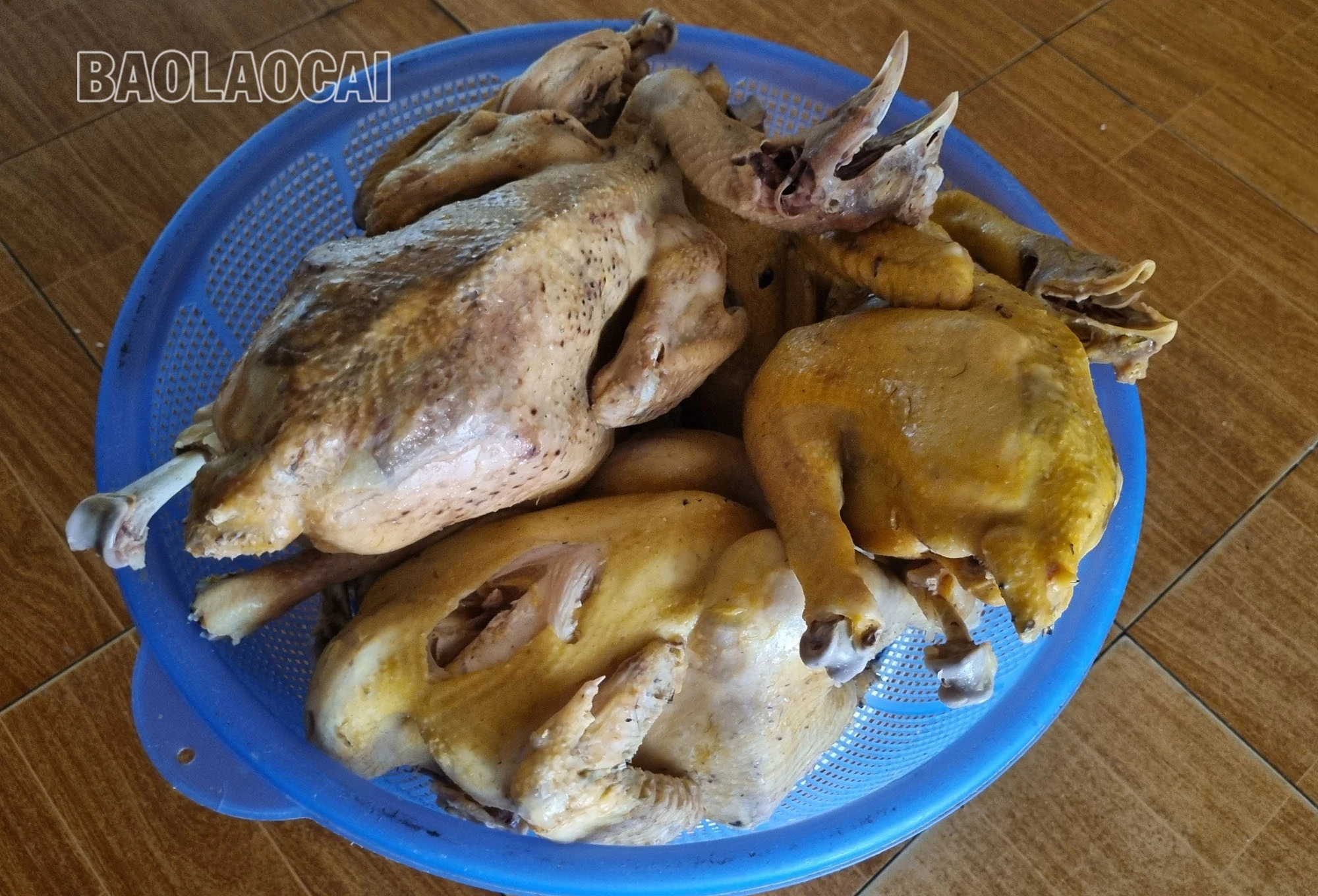 A1 (1).jpg