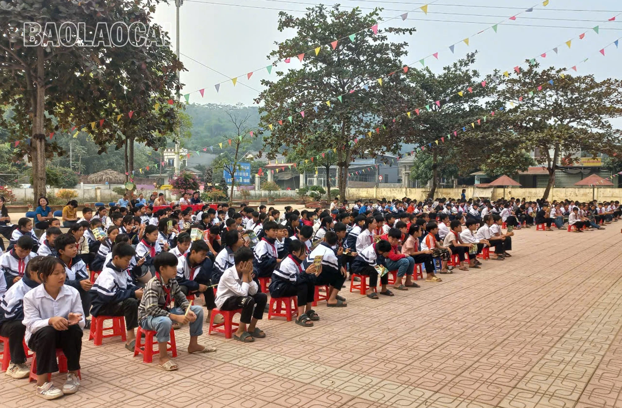 a8.jpg