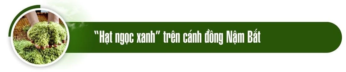 m1.jpg
