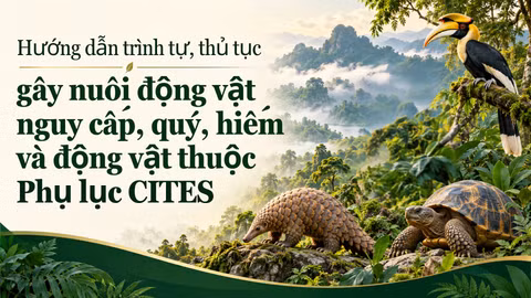 Hướng dẫn trình tự, thủ tục gây nuôi động vật nguy cấp, quý, hiếm và động vật thuộc Phụ lục CITES