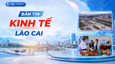 Bản tin kinh tế Lào Cai ngày 31/10