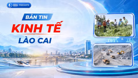 Bản tin kinh tế Lào Cai ngày 21/10