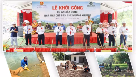 Bản tin kinh tế Lào Cai số ngày 19 tháng 8