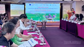 Tổng kết Dự án Thúc đẩy phát triển nghề nghiệp và kinh doanh cho thanh niên và phụ nữ tỉnh Lào Cai và Phú Thọ