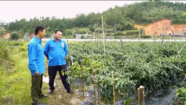 Thanh niên Púng Luông khát vọng lập nghiệp trên quê hương