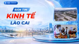 Bản tin kinh tế Lào Cai ngày 31/10