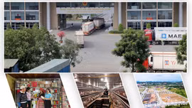 Bản tin kinh tế Lào Cai ngày 22 tháng 8